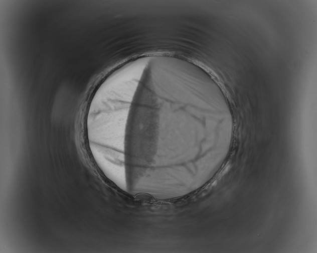 X0000086770337200705111739