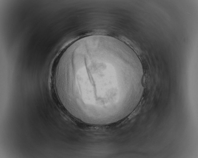 X0000086770338200705111739