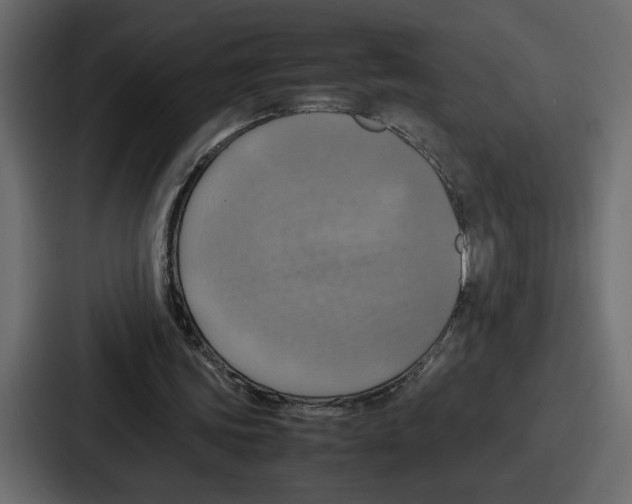 X0000086770339200705111739
