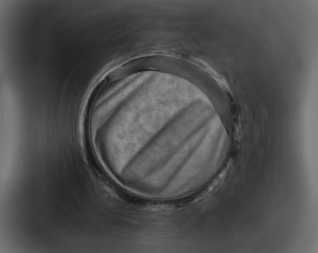 X0000086770340200705111739