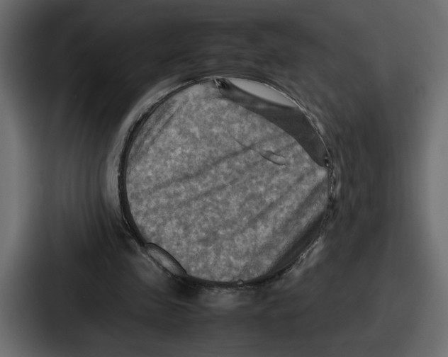 X0000086770341200705111739