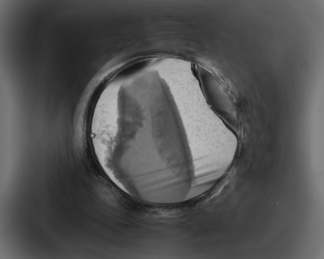 X0000086770343200705111739