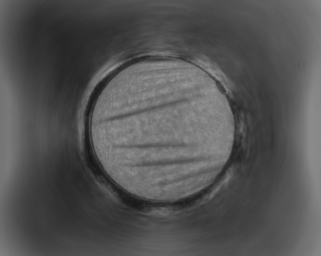 X0000086770344200705111739