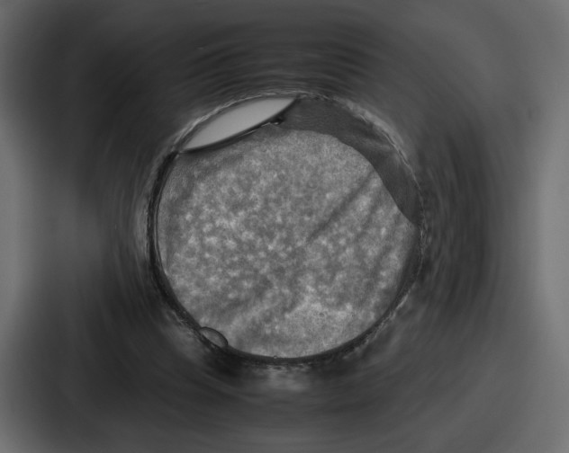 X0000086770345200705111739