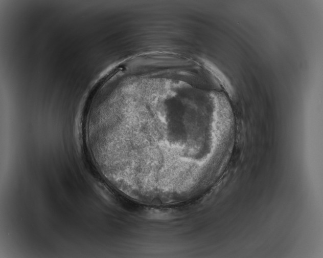 X0000086770346200705111739