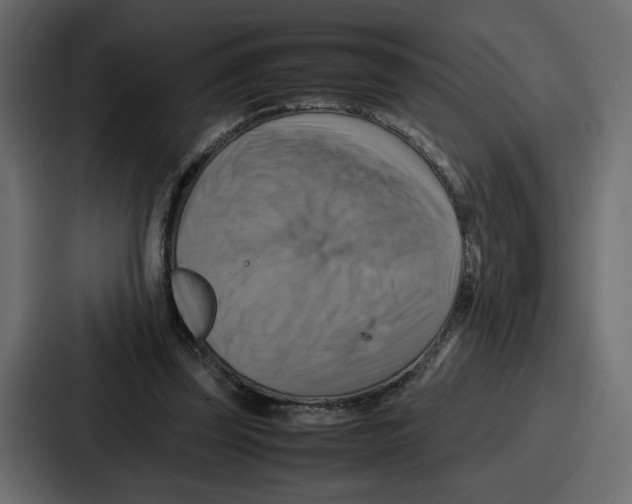 X0000086770347200705111739