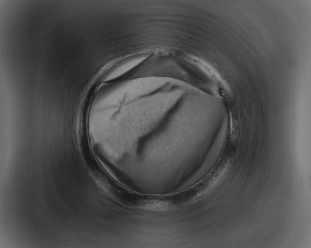 X0000086770348200705111739