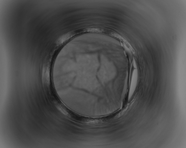 X0000086770349200705111739