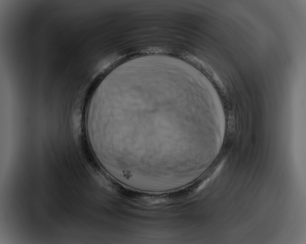 X0000086770351200705111739