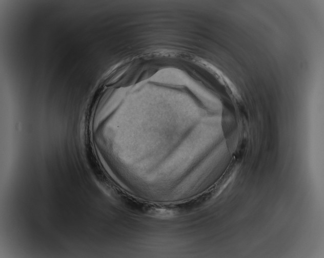 X0000086770352200705111739
