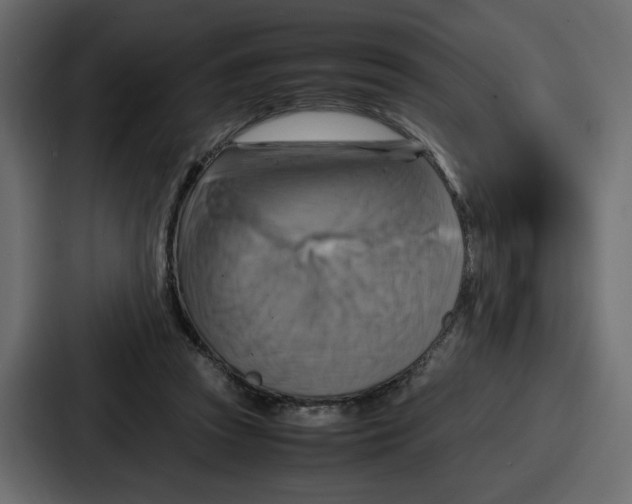 X0000086770353200705111739