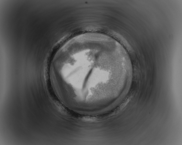 X0000086770354200705111739
