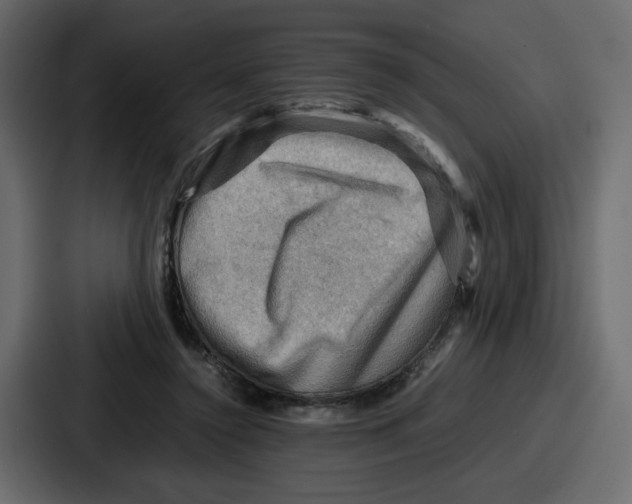 X0000086770356200705111739