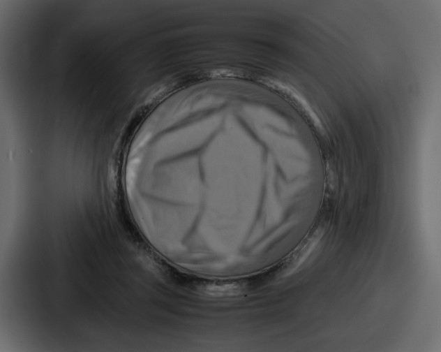 X0000086770357200705111740
