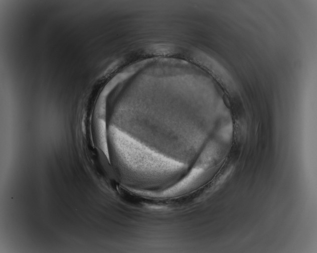 X0000086770358200705111740