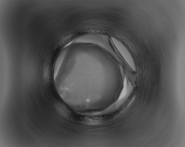X0000086770359200705111740