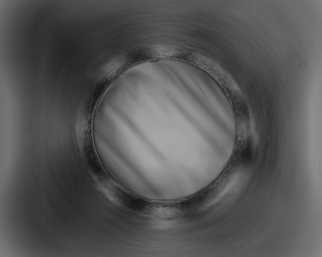 X0000086770360200705111740