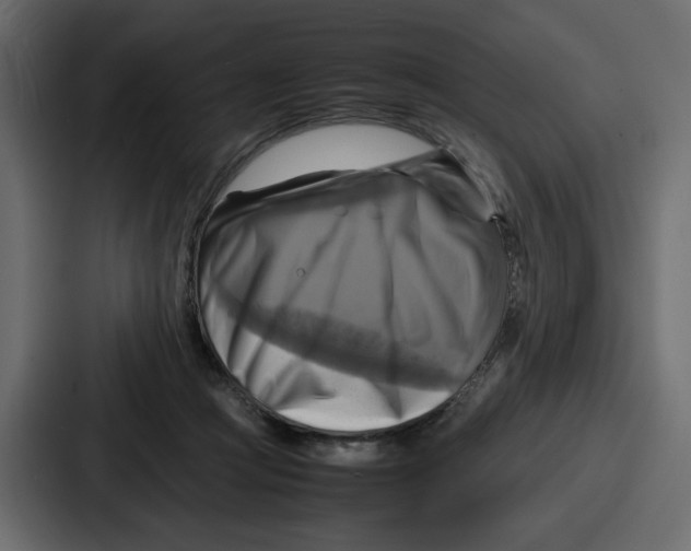 X0000086770361200705111740