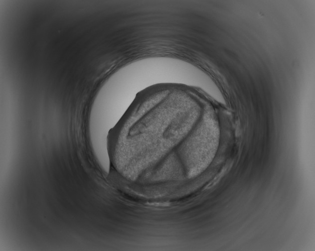 X0000086770362200705111740
