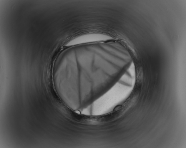 X0000086770365200705111740