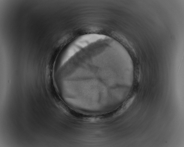 X0000086770366200705111740