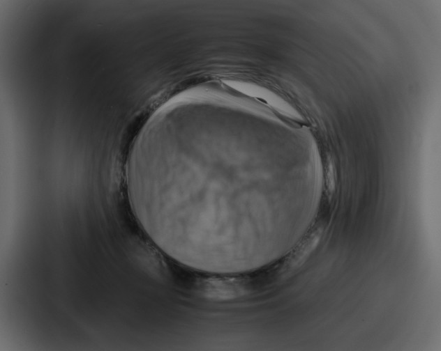 X0000086770367200705111740