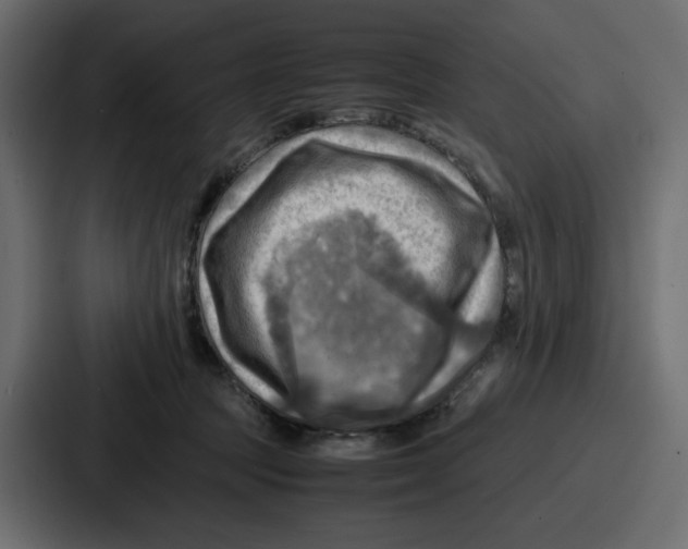X0000086770369200705111740