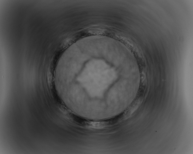 X0000086770371200705111740