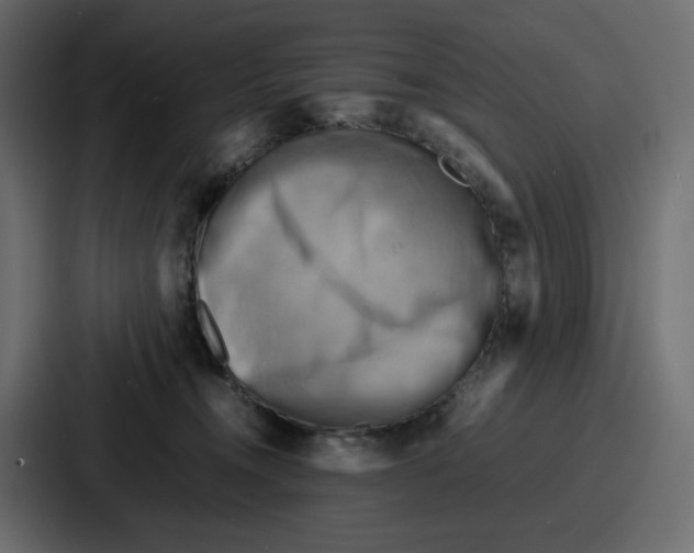 X0000086770372200705111740