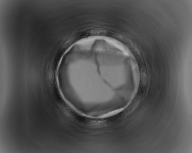 X0000086770375200705111740