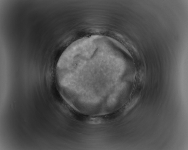 X0000086770376200705111740