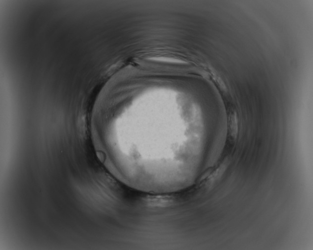 X0000086770378200705111740