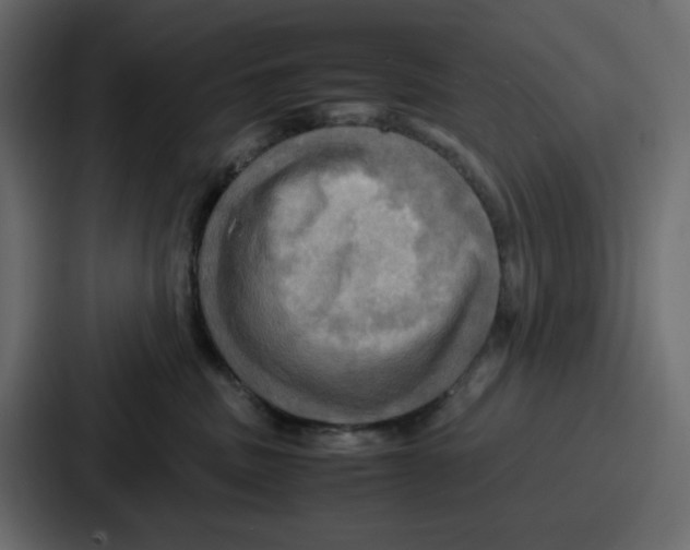 X0000086770379200705111740