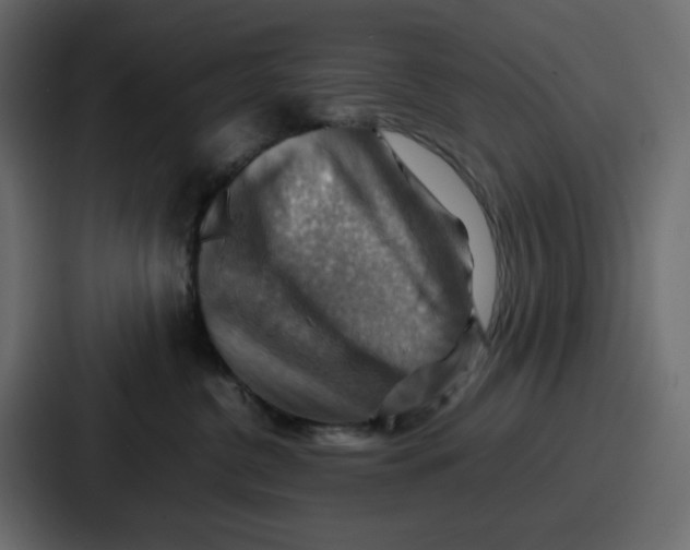 X0000086770380200705111740