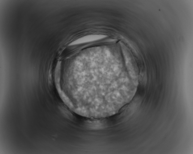 X0000086770381200705111740