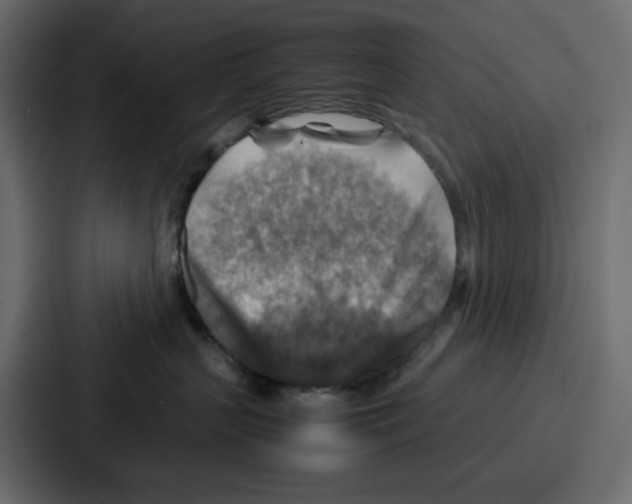 X0000086770383200705111740