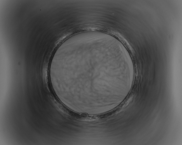 X0000086770386200705111739