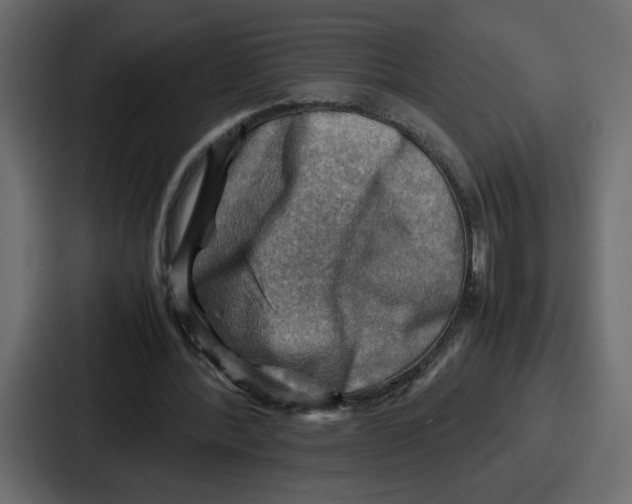 X0000086770388200705111739