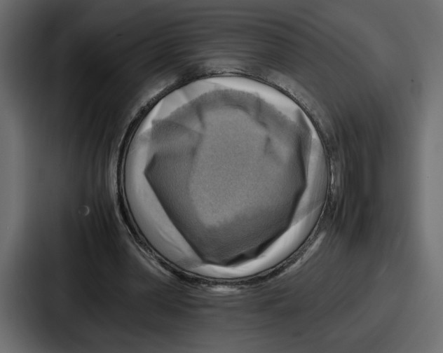 X0000086770390200705111739