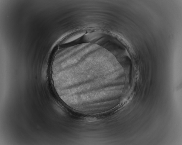 X0000086770392200705111739