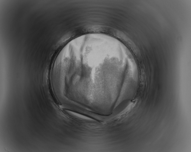 X0000086770394200705111739