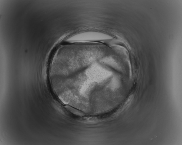 X0000086770395200705111739