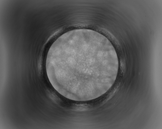 X0000086770396200705111739