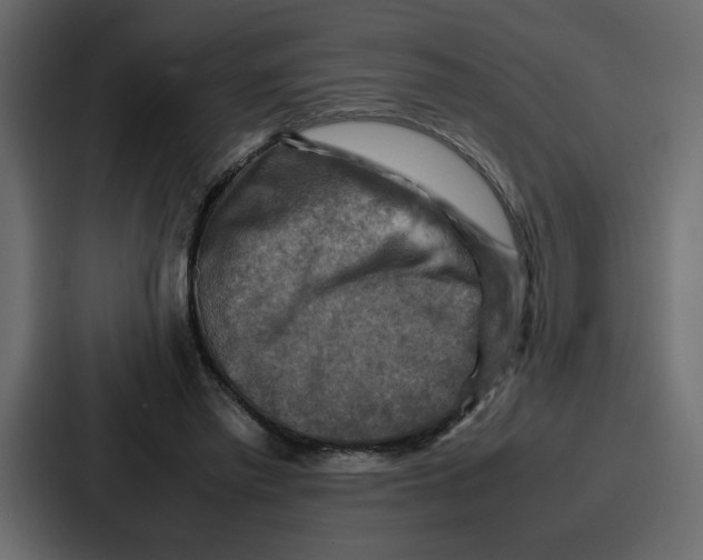 X0000086770397200705111739