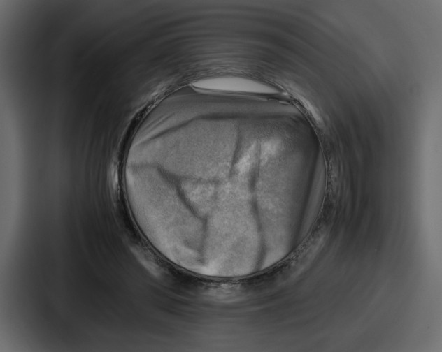 X0000086770398200705111739