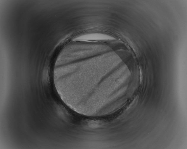 X0000086770400200705111739