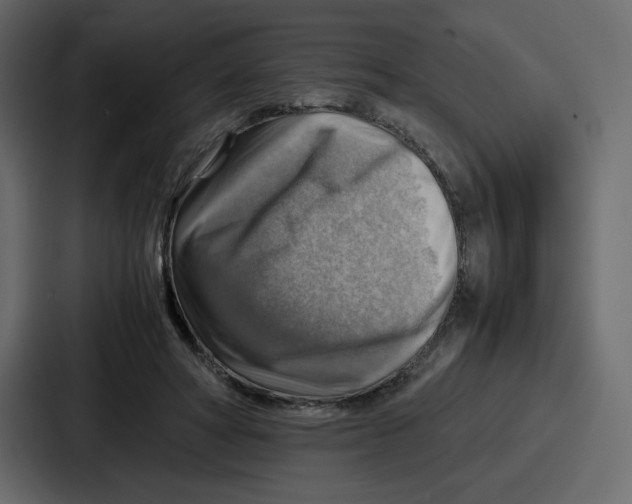 X0000086770402200705111739