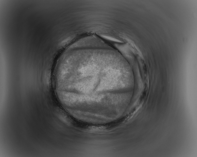 X0000086770403200705111739