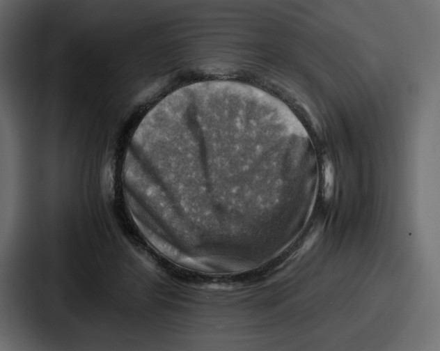 X0000086770404200705111739