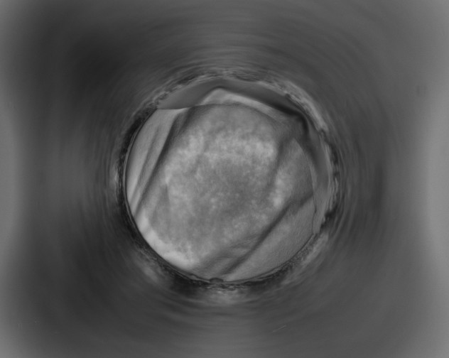 X0000086770405200705111739